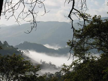 Giữ[-]cho[-]đại[-]ngàn[-]Phu[-]Canh[-]mãi[-]xanh